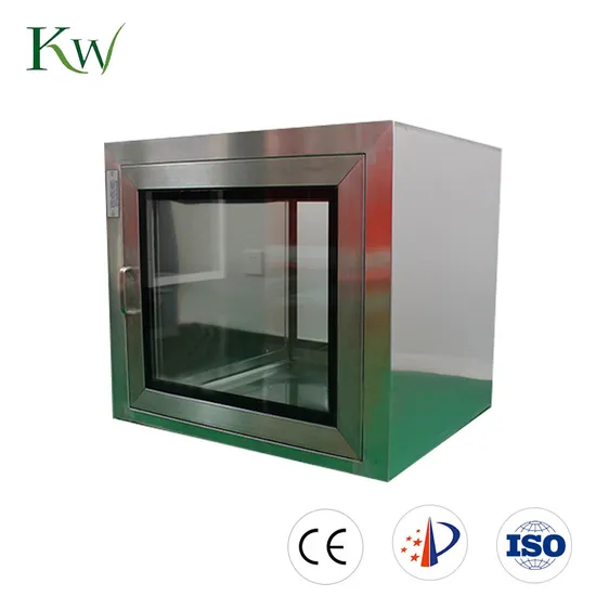 GMP Standard Static Pass Through Window for Pharmaceutical Industry Use